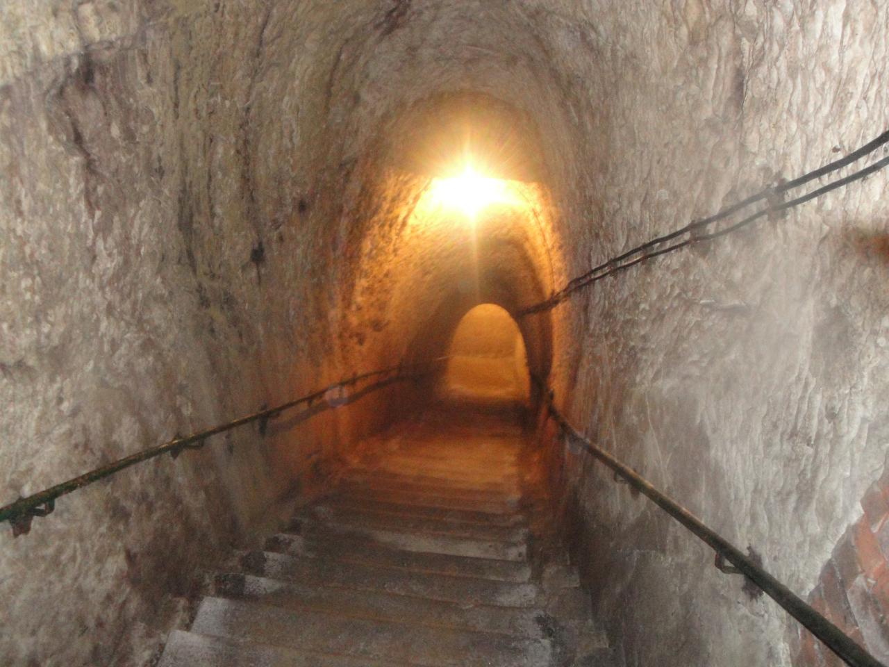 DSC06236